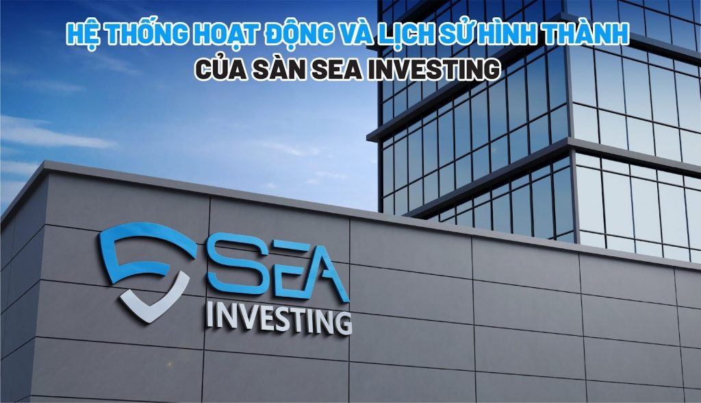 Hệ thống hoạt động và lịch sử hình thành của SEA Investing