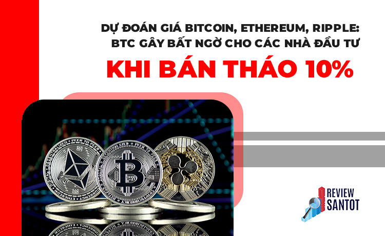 du-doan-gia-bitcoin-ethereum-ripple-btc-gay-bat-ngo-cho-cac-nha-dau-tu-reviewsantot