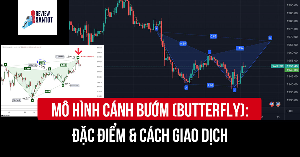 mo-hinh-canh-buom-butterfly-dac-diem-cach-giao-dich-reviewsantot