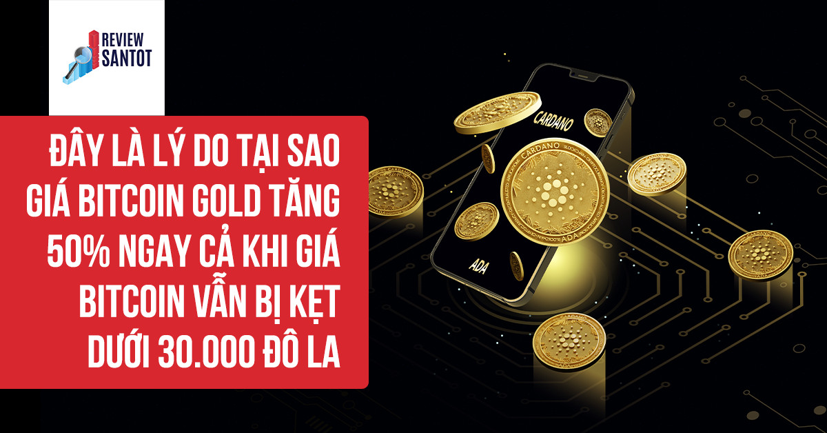 day-la-ly-do-tai-sao-gia-bitcoin-gold-tang-50-ngay-ca-khi-gia-bitcoin-van-bi-ket-duoi-30-000-do-la-reviewsantot