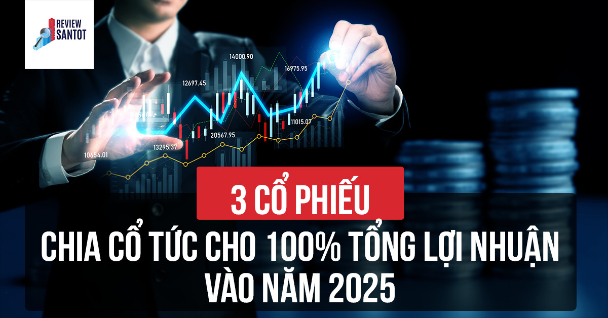 3-co-phieu-chia-co-tuc-cho-100-tong-loi-nhuan-vao-nam-2025-reviewsantot